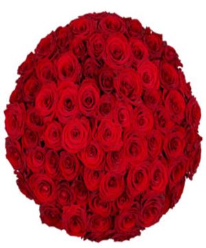 55 Roses Bouquet | Same Day Flowers Delivery – FloralHub